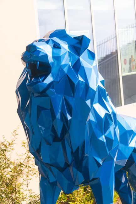 Personal Photographer in Tirana (Book a day in advance) - Final Thoughts