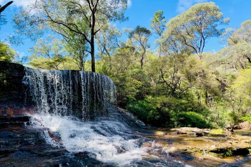 Personalised Blue Mountains Tour: Luxury Vehicles & Insights - Good To Know  