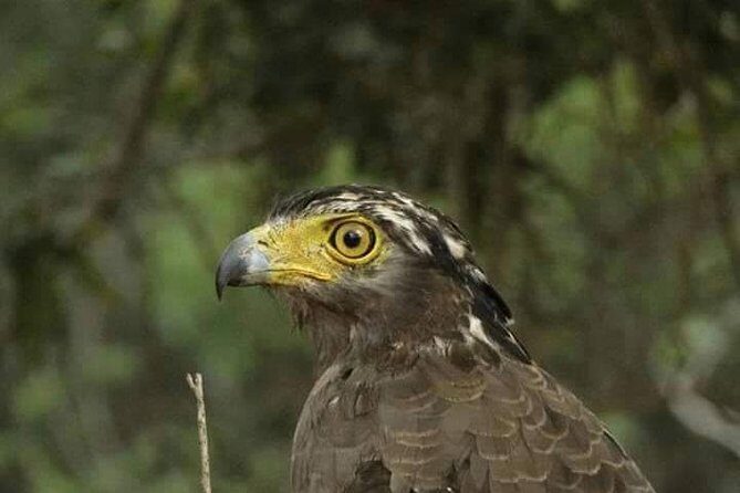 Personalised Ella & Sri Lanka Tours - FAQ