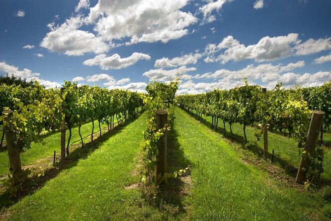 Personalised Wine Tour Experience in the Beautiful NSW Southern Highlands - Reviews and Ratings