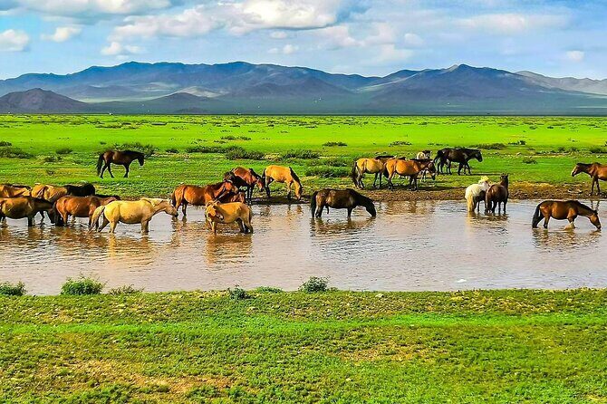 Personalized 12 Days Mongolia Family Tour with Car and Guide - Ongi Monastery and Its Ruins