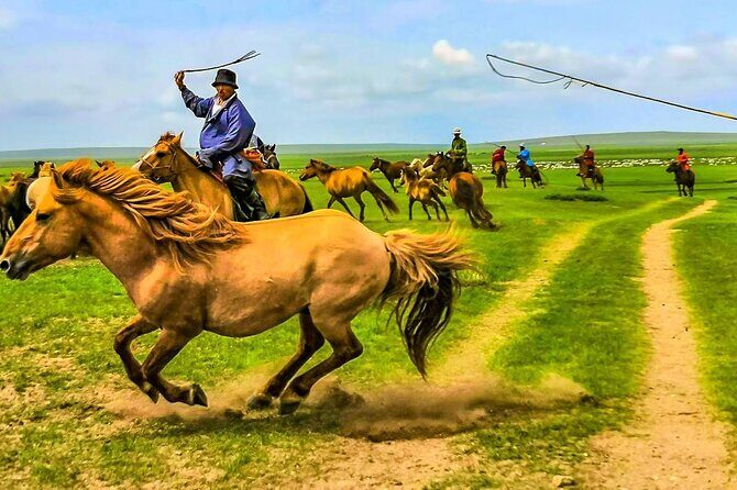 Personalized 12 Days Mongolia Family Tour with Car and Guide - The Dinosaur Connection at Flaming Cliffs