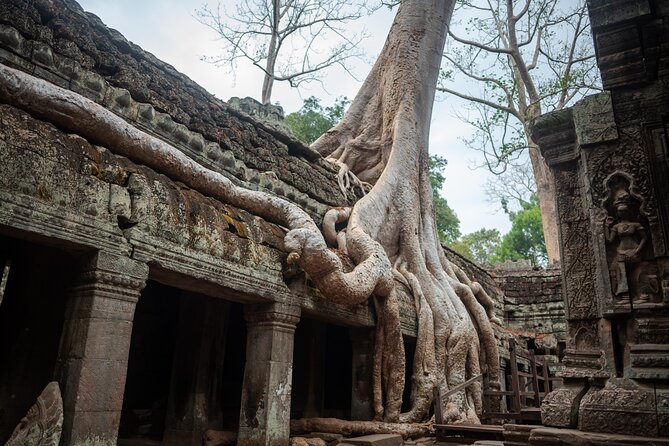 Personalized Angkor Sunrise Tour by AC Car - Pricing, Booking, and Reviews