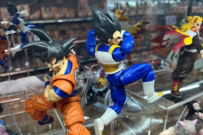 Personalized Anime Tour in Osaka - A Closer Look at the Osaka Anime Tour  