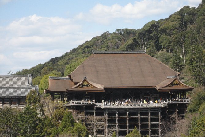 Personalized Half-Day Tour in Kyoto for Your Family and Friends. - Tour Details