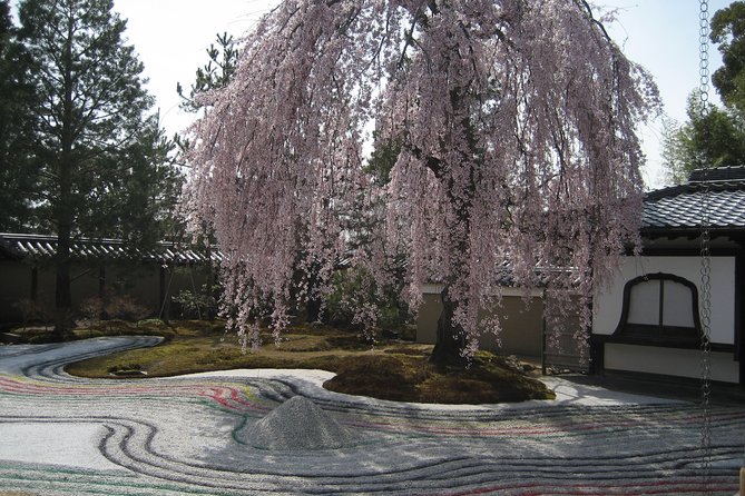 Personalized Half-Day Tour in Kyoto for Your Family and Friends. - Cancellation Policy