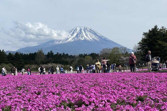 Personalized Mount Fuji Experience Customizable Full Day Trip - Is It Worth the Price?