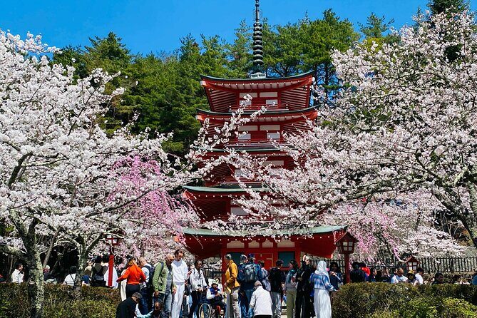 Personalized Mount Fuji Experience Customizable Full Day Trip - Final Thoughts