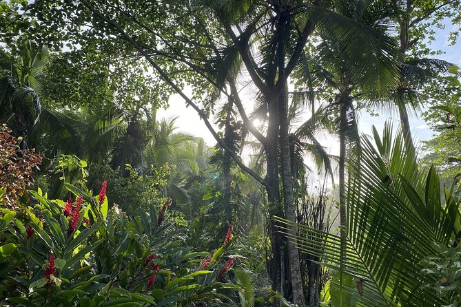 Personalized Private Tour Experience - Costa Rica - Tour Highlights