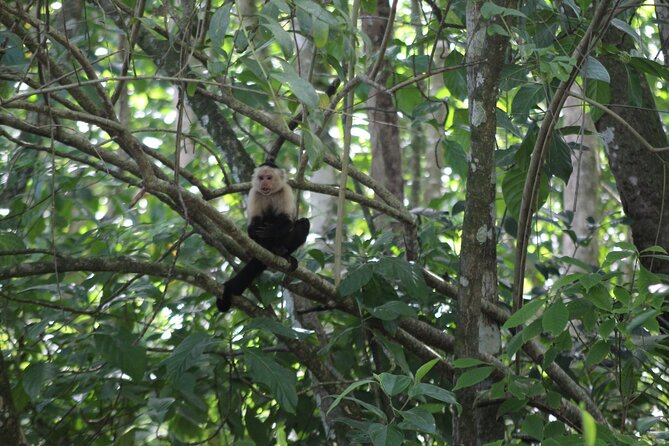 Personalized Private Tour Experience - Costa Rica - Customized Itinerary