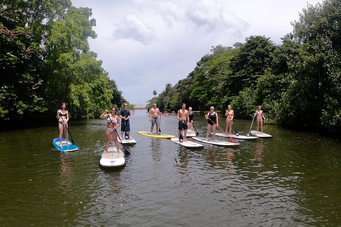 Personalized Private Tour of Oahu - Additional Tour Options