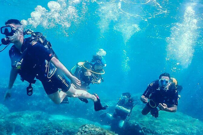 Personalized Snorkeling and Diving Experience in Riviera Maya - Good To Know