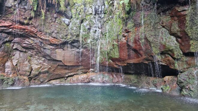 Personalized Tour:Around Madeira Island - Reservation