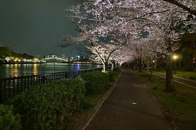 Personalized Tours through Osaka, Kyoto & Nara - Who Should Consider This Tour?