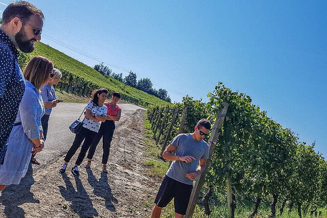 Personalized Wine and Food Experiences in Alba - Reviews and Highlights