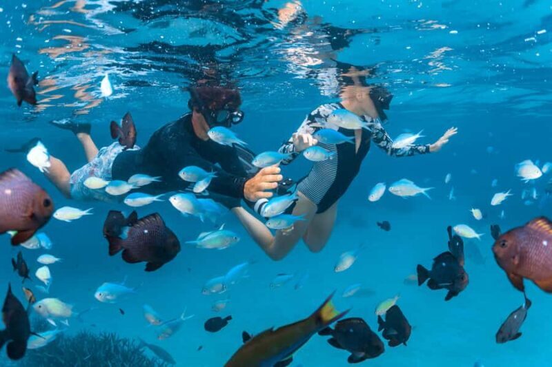 Perth: 7 Day Exmouth Explorer & Ningaloo Reef Return Perth - Exploring Western Australia’s Iconic Landscapes