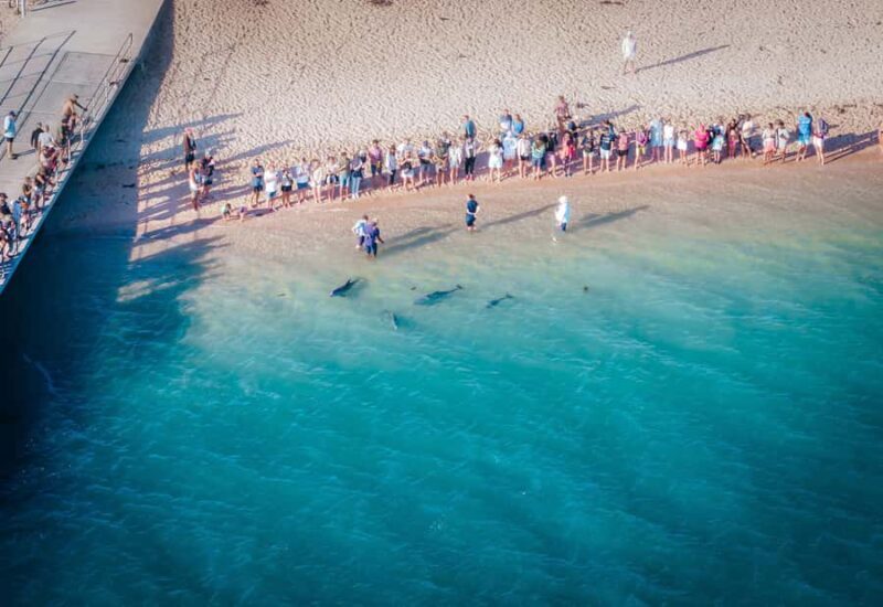 Perth: 8-Day Exmouth Tour with Ningaloo Reef Comfort Tour - Exploring Western Australias Natural and Cultural Gems