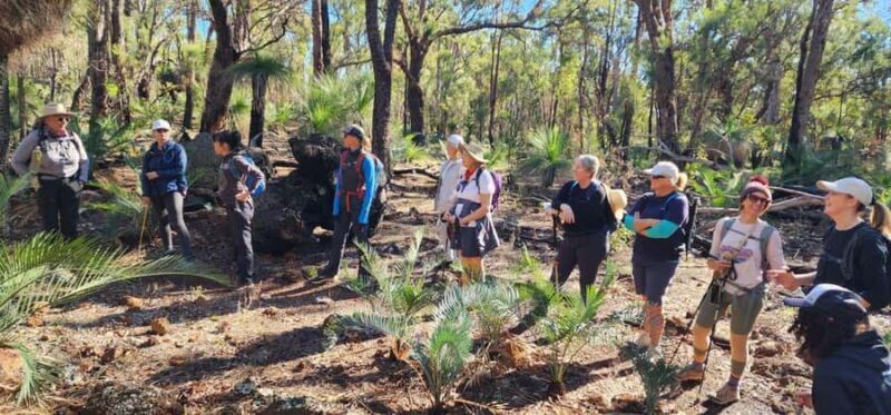 Perth: Abyssinia Rock Hiking Experience - Good To Know