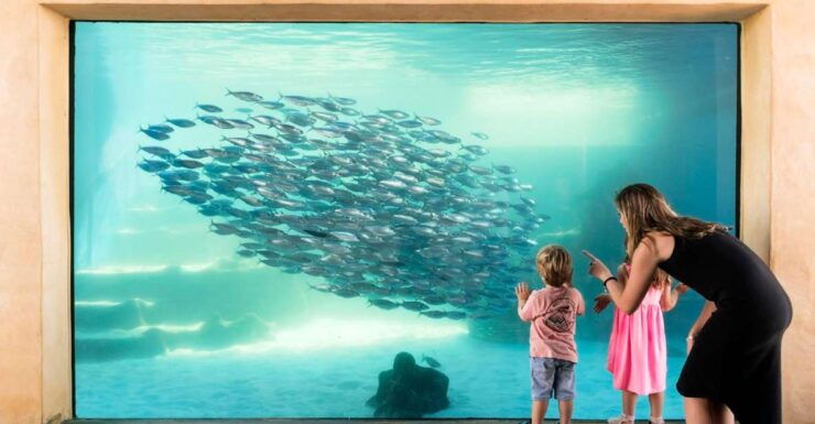Perth: AQWA Aquarium of Western Australia Entry Tickets - Ticket Pricing and Options