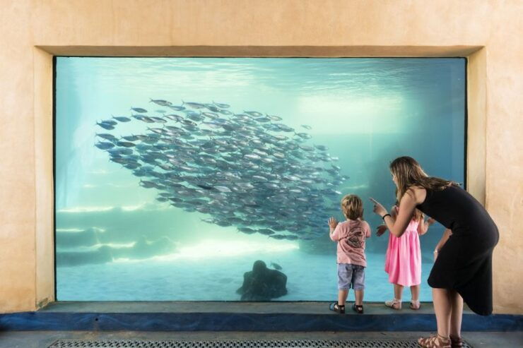 Perth: AQWA Aquarium of Western Australia Entry Tickets - Reservation and Booking Process
