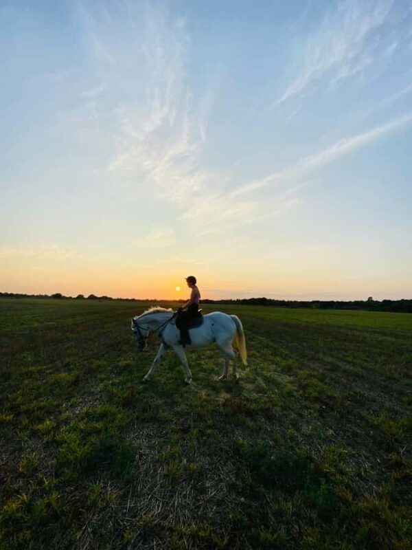 Perth, Australia: 1-Hour Scenic Horseback Trail Adventure - Good To Know  