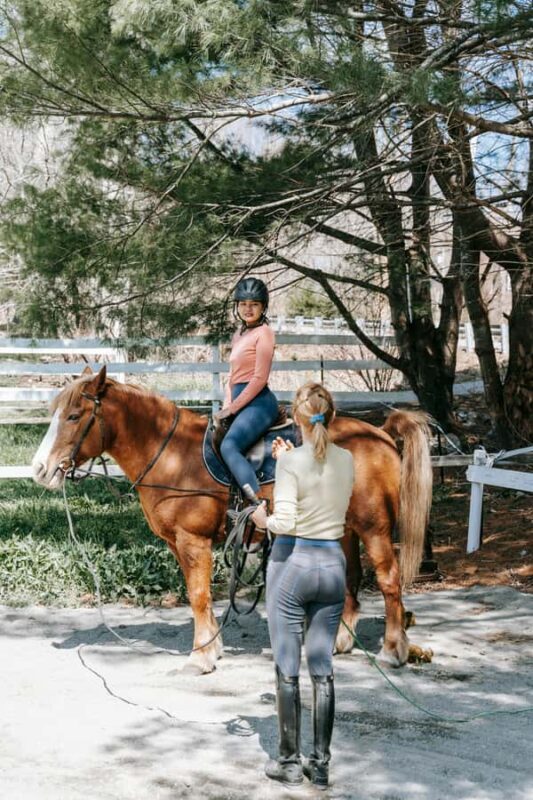 Perth, Australia: 1-Hour Scenic Horseback Trail Adventure - An Introduction to the Experience  