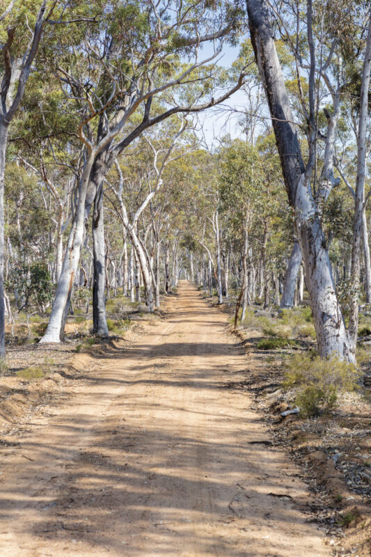 Perth Barna Mia & Dryandra Full-Day Wildlife Tour with Stargazing - Who will enjoy the day most