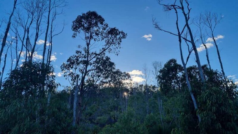 Perth: Bickley Valley Hiking Experience with Morning Tea - Good To Know