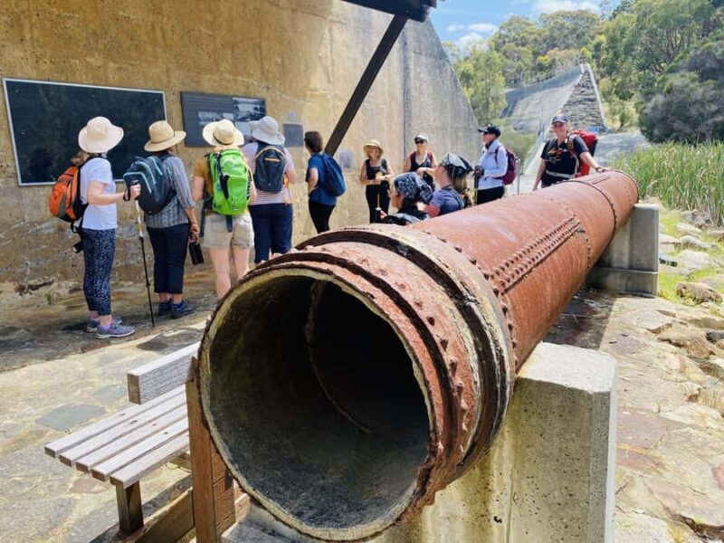 Perth: Bickley Valley Hiking Experience with Morning Tea - An In-Depth Look at the Bickley Valley Hiking Experience