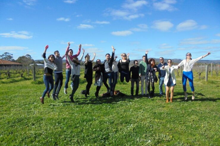 Perth: Full Day Swan Valley Cruise & Wine Tasting With Lunch - Activity Overview