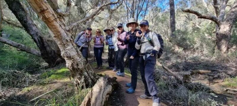 Perth: Hidden Gems of Perth Hiking Tour with Lunch - Who Would Love This Tour?