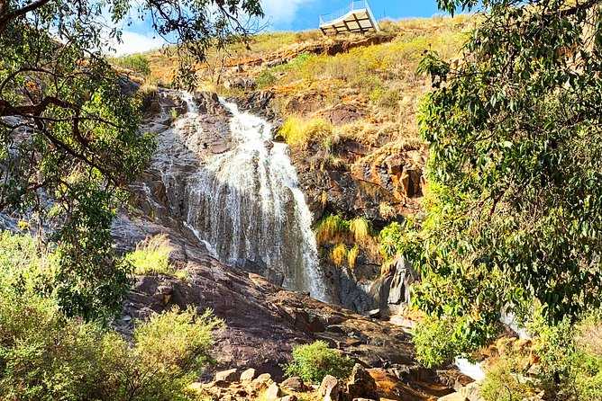 Perth Hills Explorer (Private) Day Tour - Reviews of the Perth Hills Explorer (Private) Day Tour