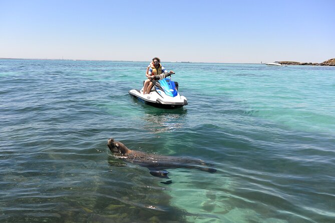 Perth Jet Ski Tour - What to Expect