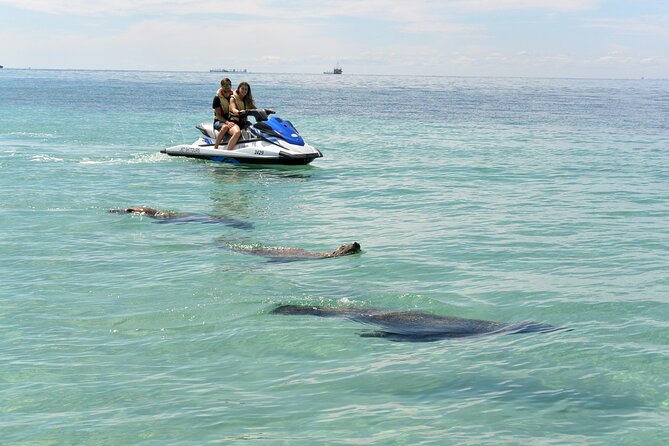 Perth Jet Ski Tour - Reviews and Ratings