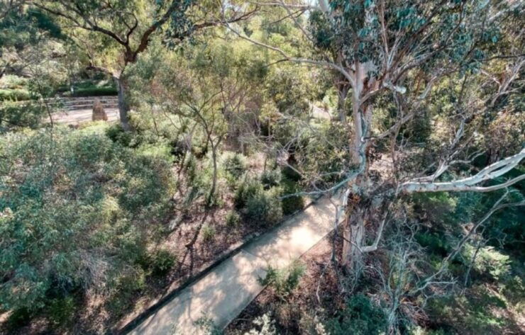 Perth: Kings Park Botanicals & Beyond Guided Hike - Reservations and Pricing