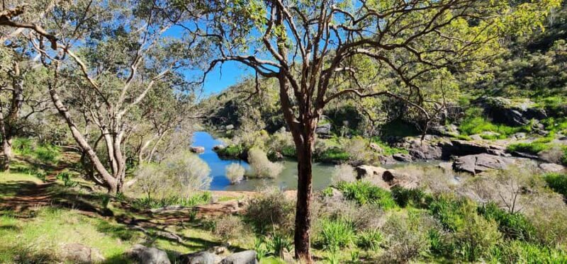 Perth: Kitty's Gorge Hike with Morning Tea - Practical Tips & Considerations