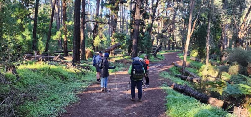 Perth: Kitty's Gorge Hike with Morning Tea - Final Thoughts