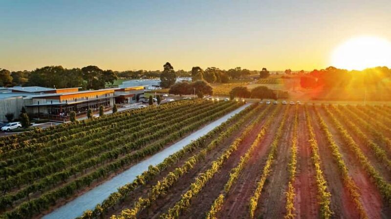 Perth: Margaret River Scenic Flight & Wine Tasting Tour - What Travelers Can Expect: Practical Details