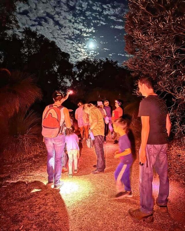 Perth: Nocturnal Night Stalk Tour with WA Wildlife Encounter - Why This Tour Is Worth Considering