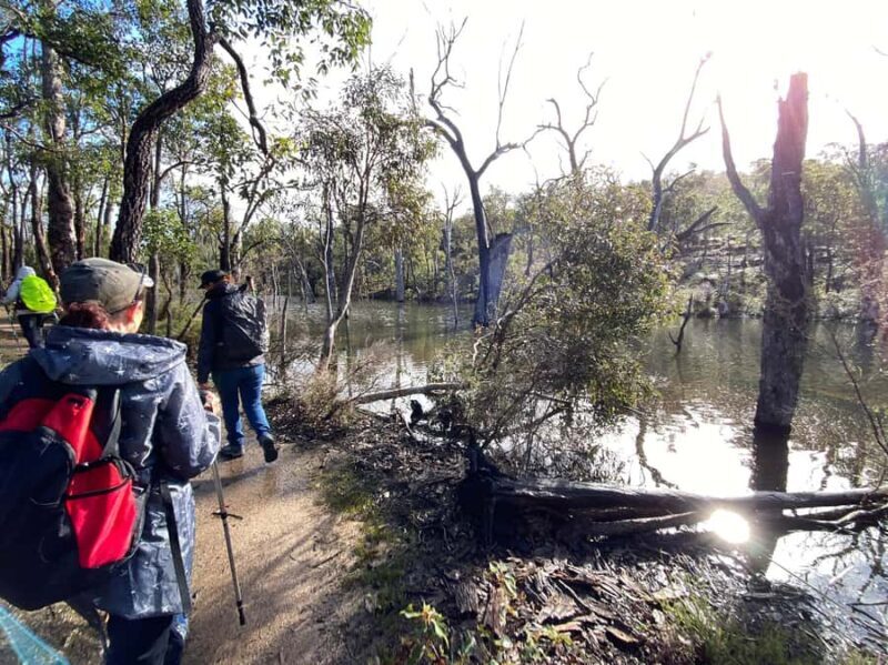 Perth: Numbat Trail Hike at Paruna Wildlife Sanctuary - Why This Tour Might Be Perfect for You