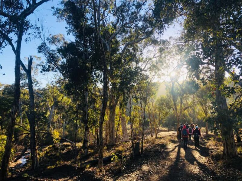 Perth: Numbat Trail Hike at Paruna Wildlife Sanctuary - FAQs