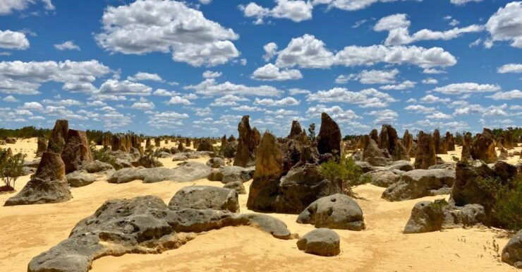 Perth: Pinnacles Desert Bush Walk Guided Tour With Lunch - Tour Details