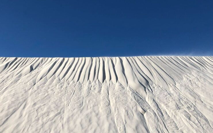 Perth: Pinnacles Desert Bush Walk Guided Tour With Lunch - Experience Highlights