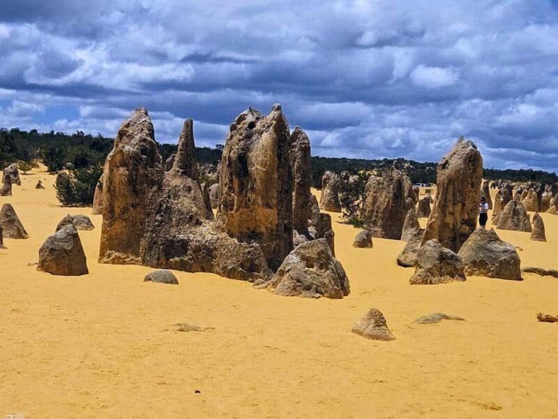 Perth: Pinnacles Desert & Sand Dunes Private Day Tour - Good To Know