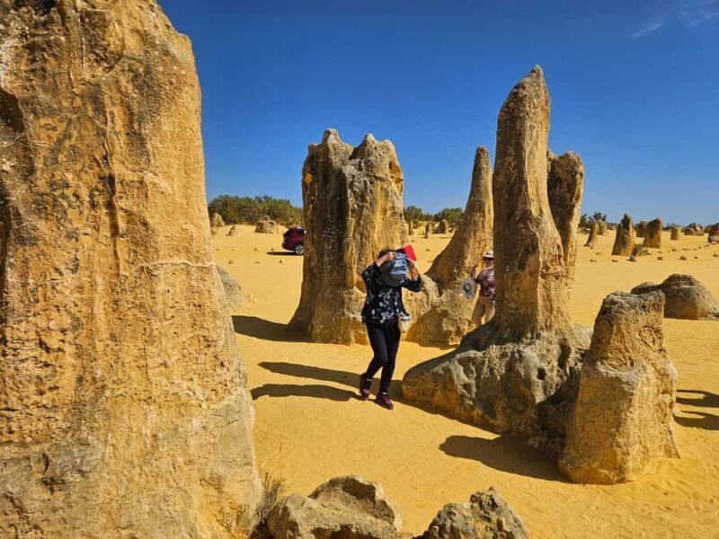 Perth: Pinnacles Desert & Sand Dunes Private Day Tour - The Itinerary in Detail: What Makes Each Stop Special