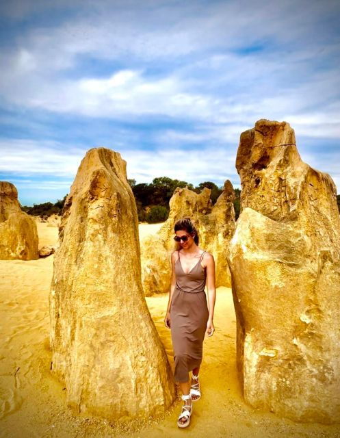Perth: Pinnacles, Lavender Field, Koalas and Kangaroos Tour - Full Tour Description