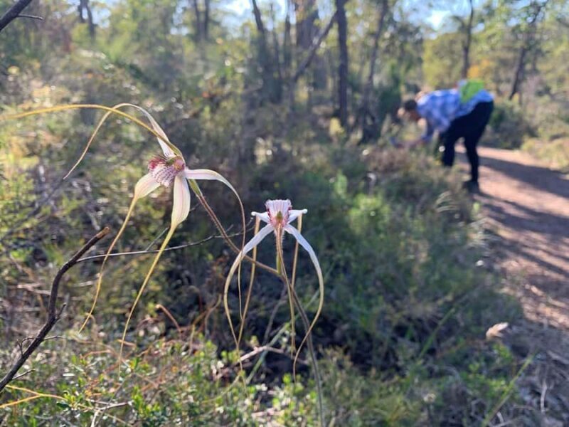 Perth: Swan View Tunnel, Falls, and Eagle View Hike - Who Should Book This Tour?  