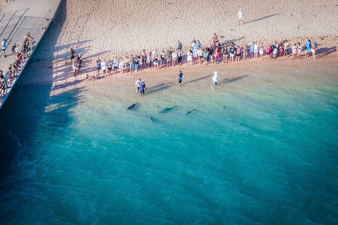 Perth to Exmouth & Ningaloo Reef 8 Day Small-Group Boutique Tour - Considerations