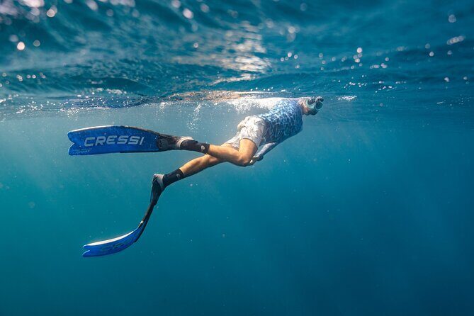 Perth to Exmouth & Ningaloo Reef 8 Day Small-Group Boutique Tour - Who Would Love This Tour?