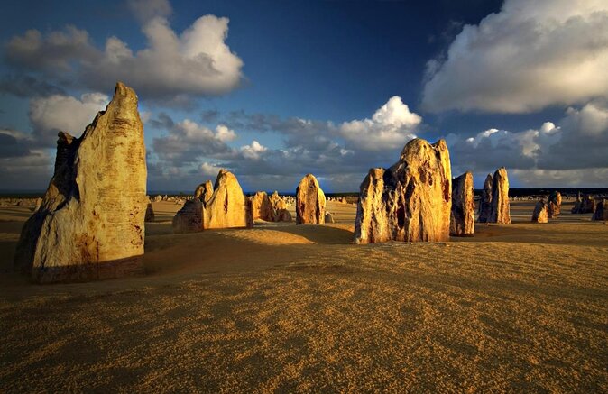 Perth to the Pinnacles: Private Full-Day Coastal Explorer Tour (Feb ) - Tour Highlights